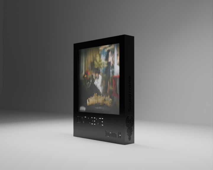 CONTINGENTE - Art Visual Frame