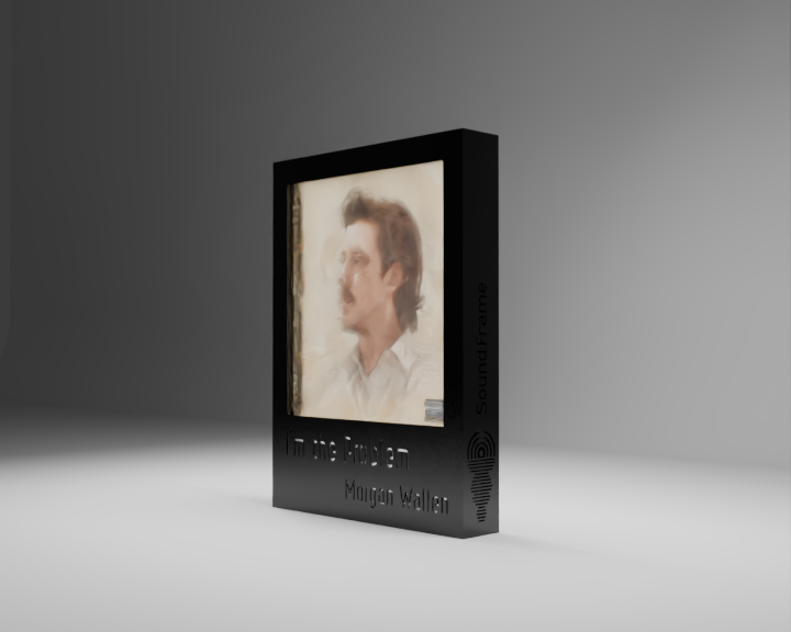 I'm the Problem - Art Visual Frame